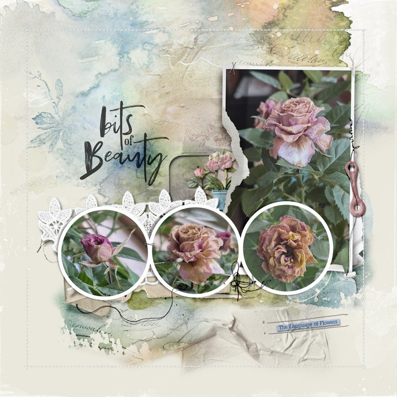 The Language of Flowers