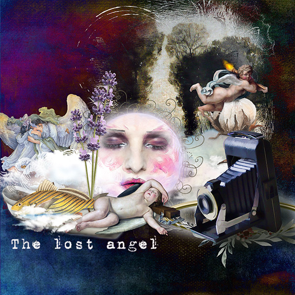 The lost angel