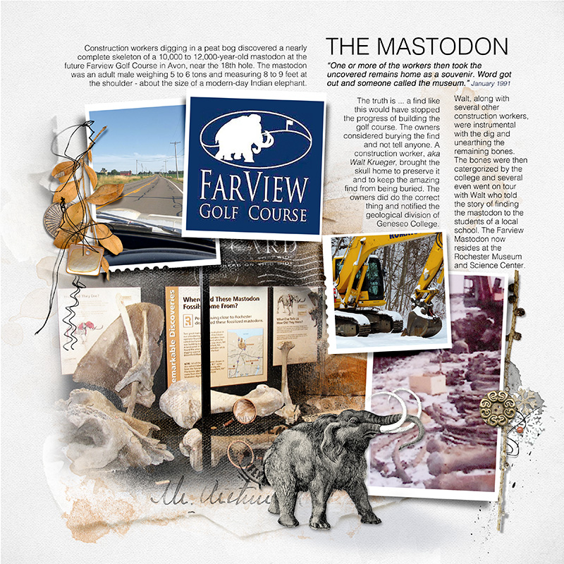 The Mastodon Find