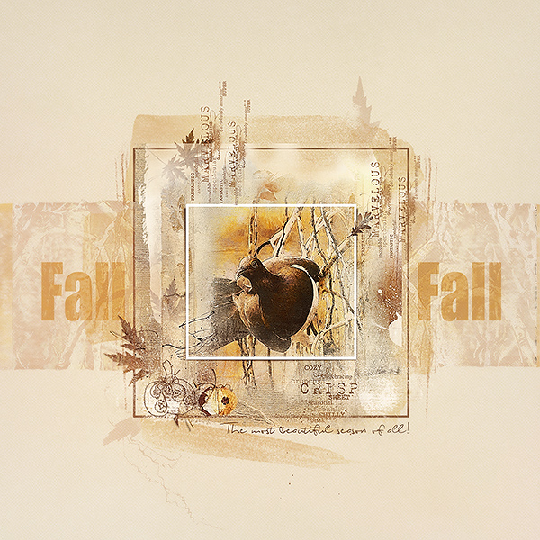 The most beautiful season