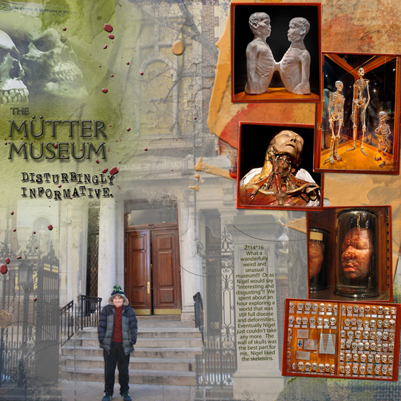 The Mutter Museum