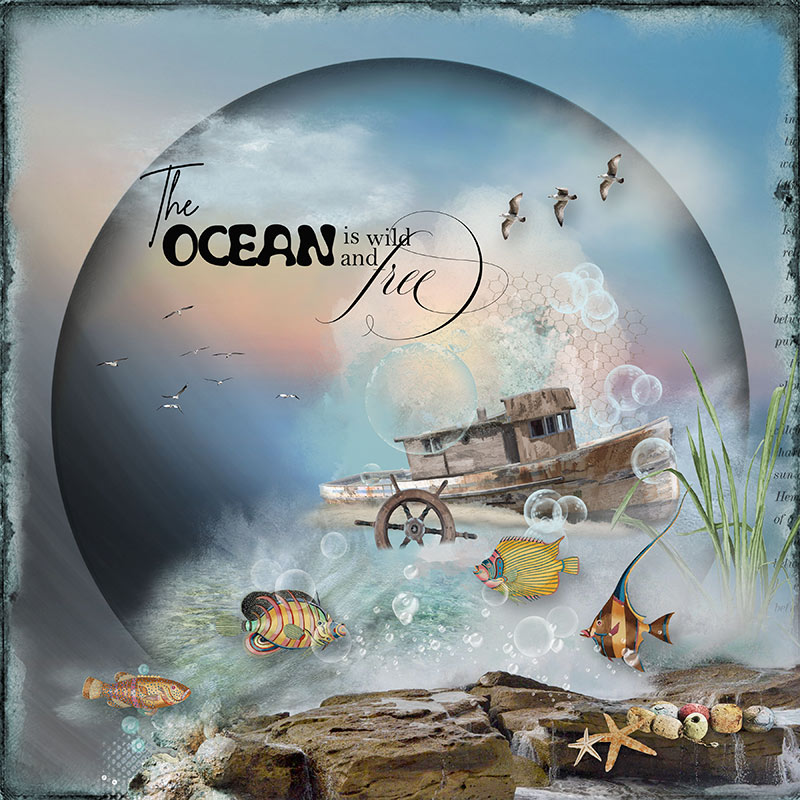 The Ocean