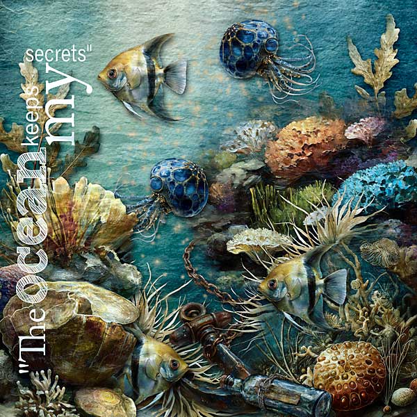 The Ocean
