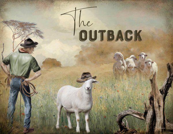 The Outback