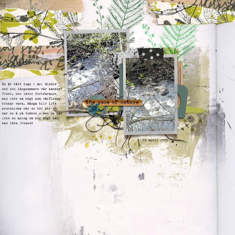 The Pace Of Nature