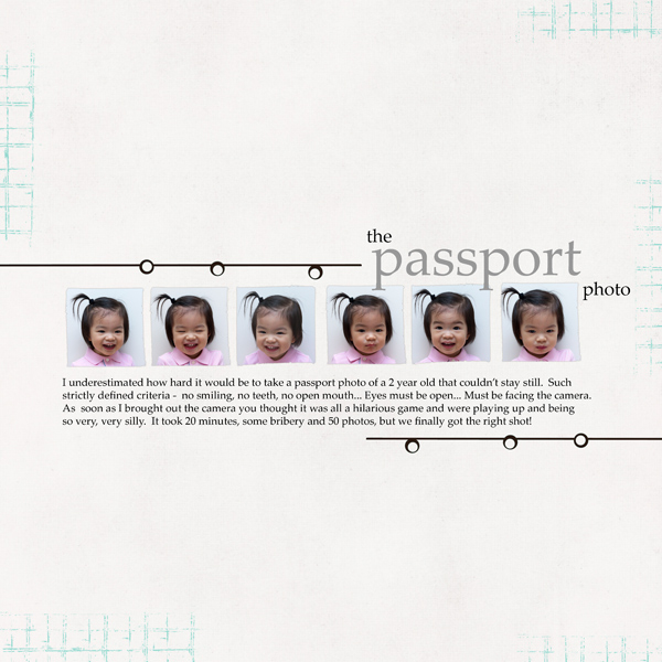 The Passport Photo