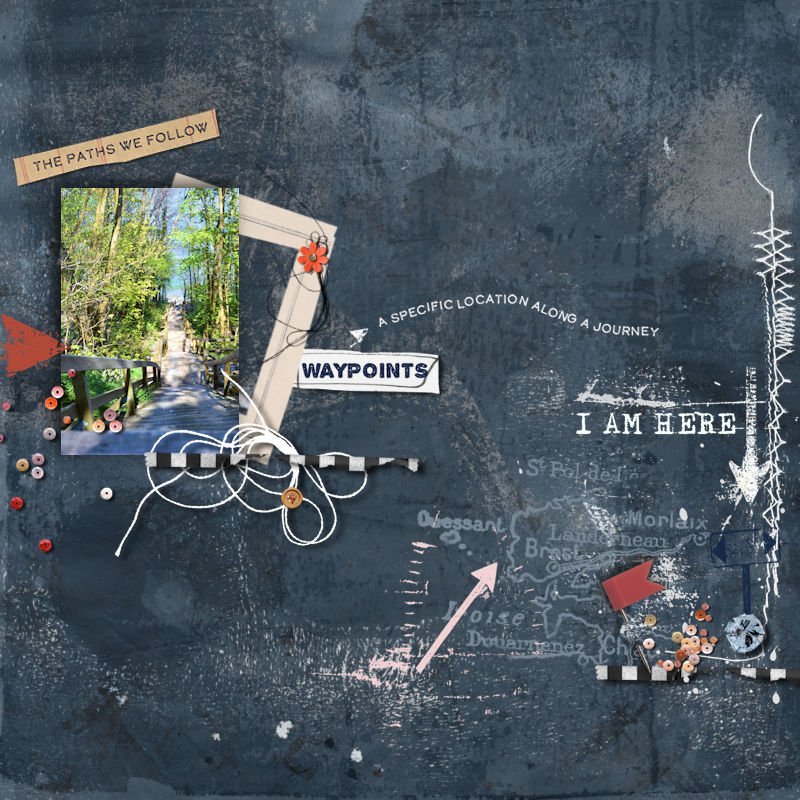 The Paths we follow.jpg