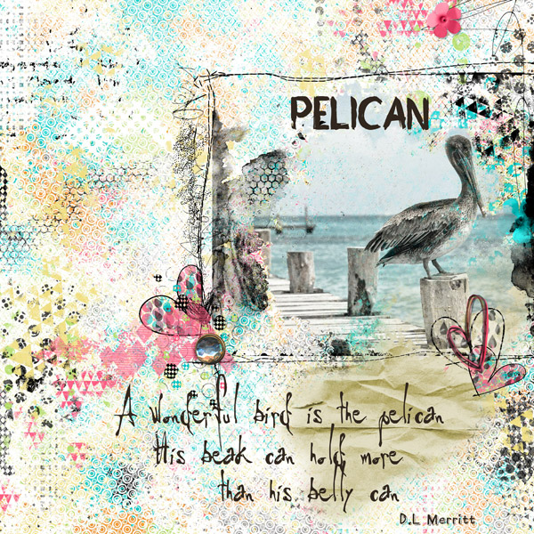 The Pelican