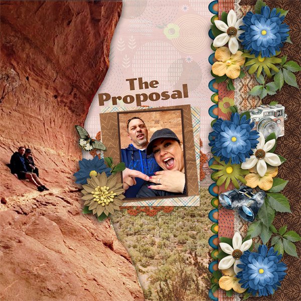 The Proposal