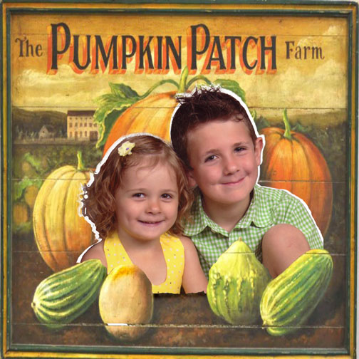 the pumpkin patch farm