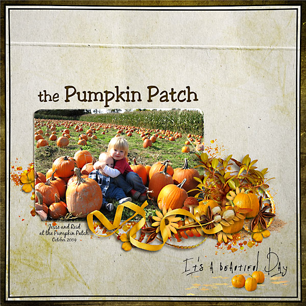 The Pumpkin Patch