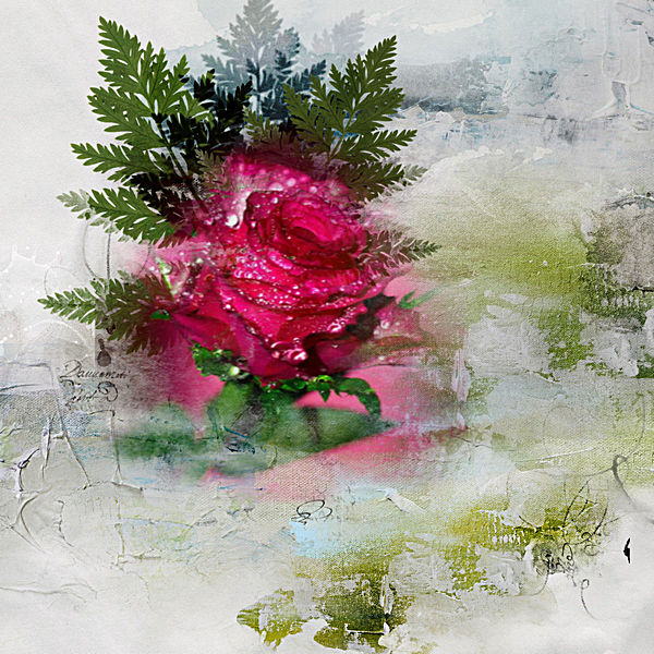 The Rose