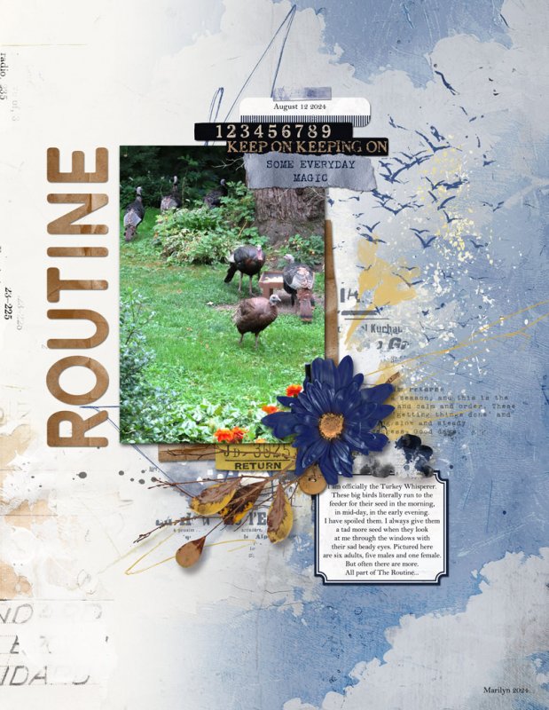 The-Routine