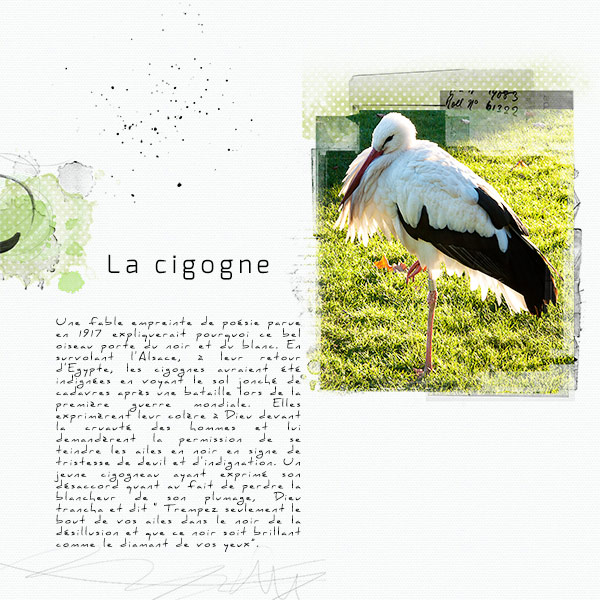The stork - La cigogne