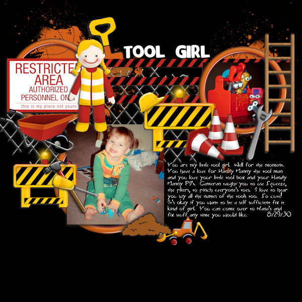 The Tool Girl