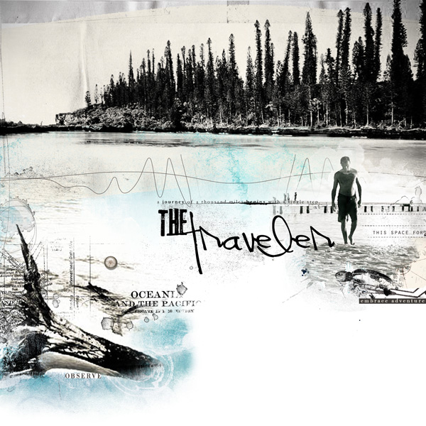 The traveler -  Anna Lift