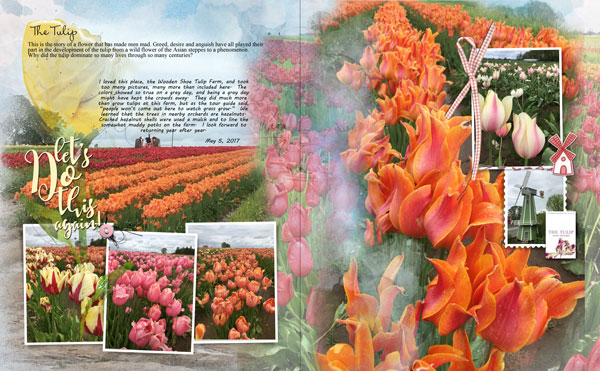 The Tulip Farm