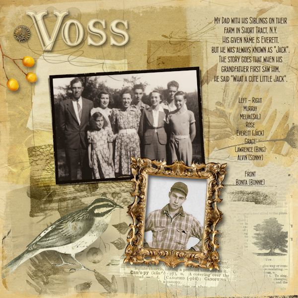 The Vosses