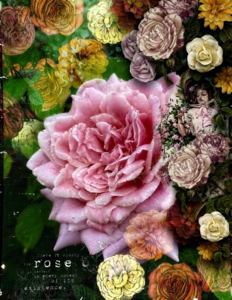 TheRoseGarden.jpg