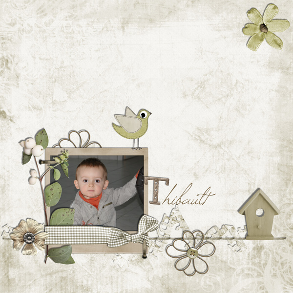 Thibault