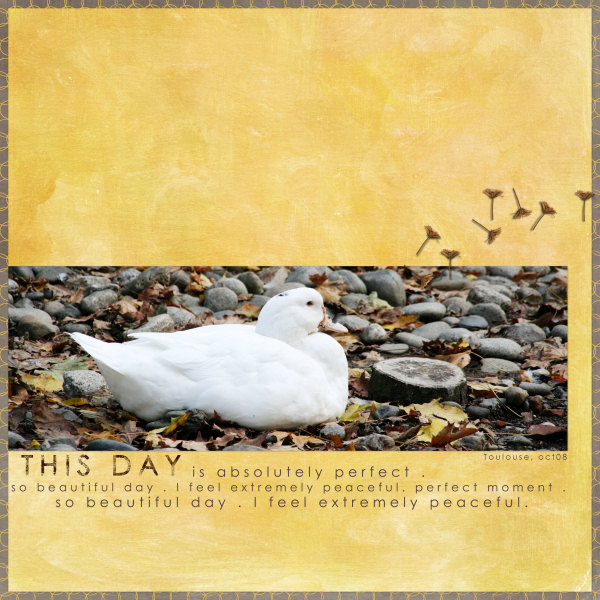 This day