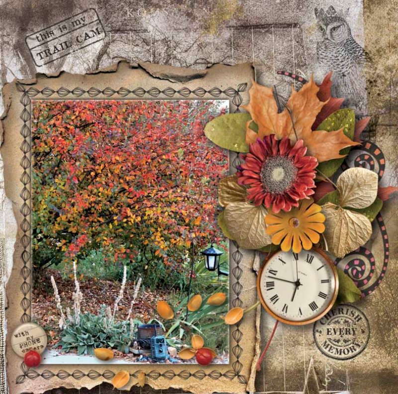 This is my trail Cam 1000