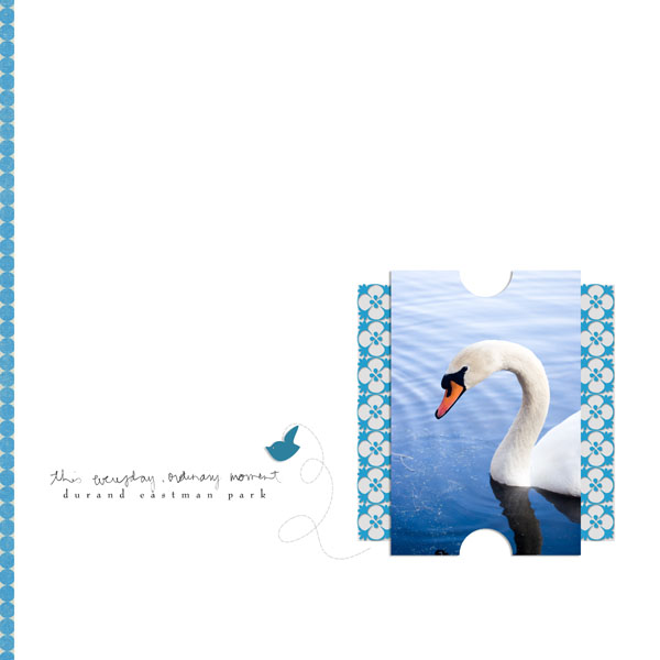 This Swan