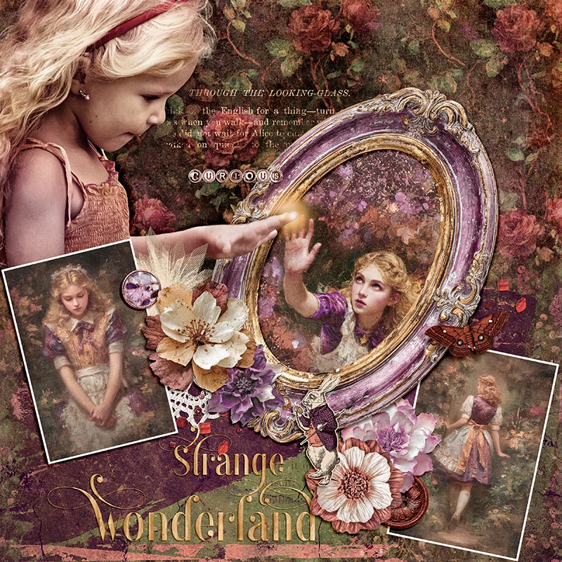 THROUGH THE LOOKING GLASS