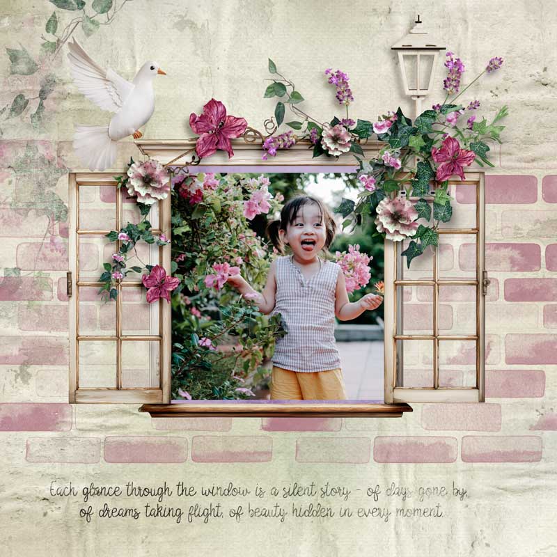 through-the-window-palvinka.jpg