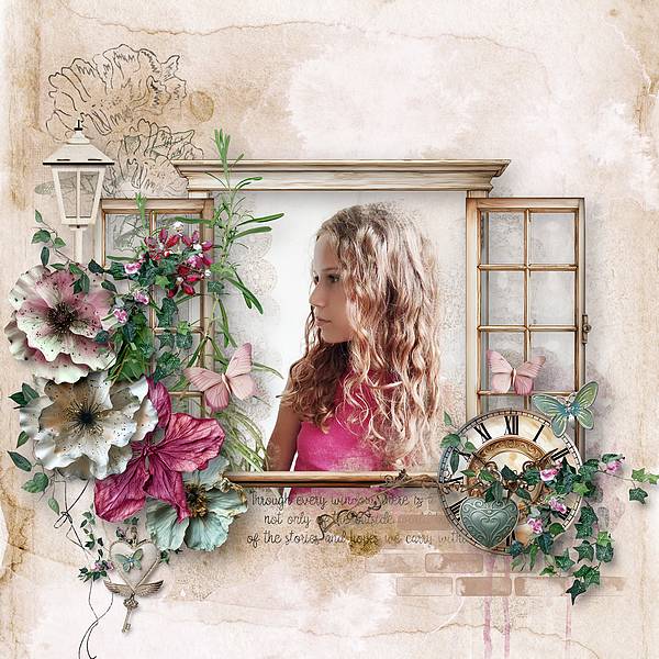 Through The Window