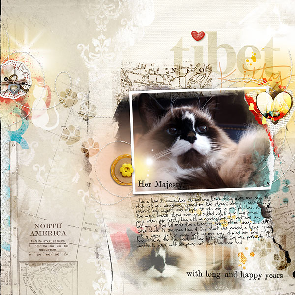 Tibet - Digidare #265
