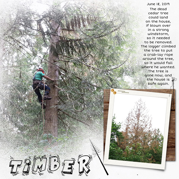 Timber