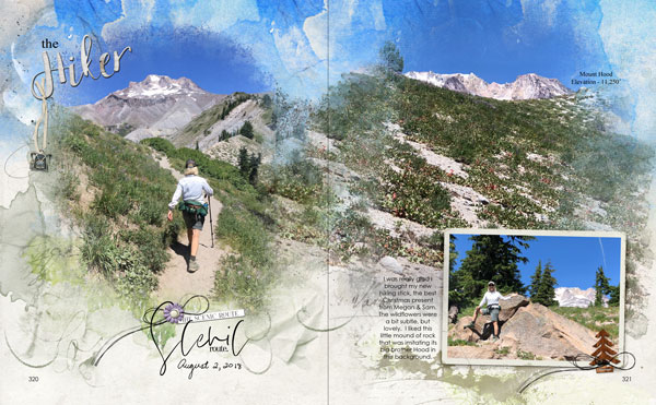 Timberline PCT 2