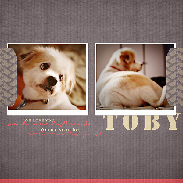 Toby