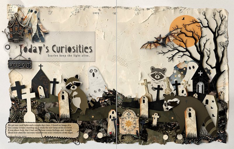 Today's Curiosities