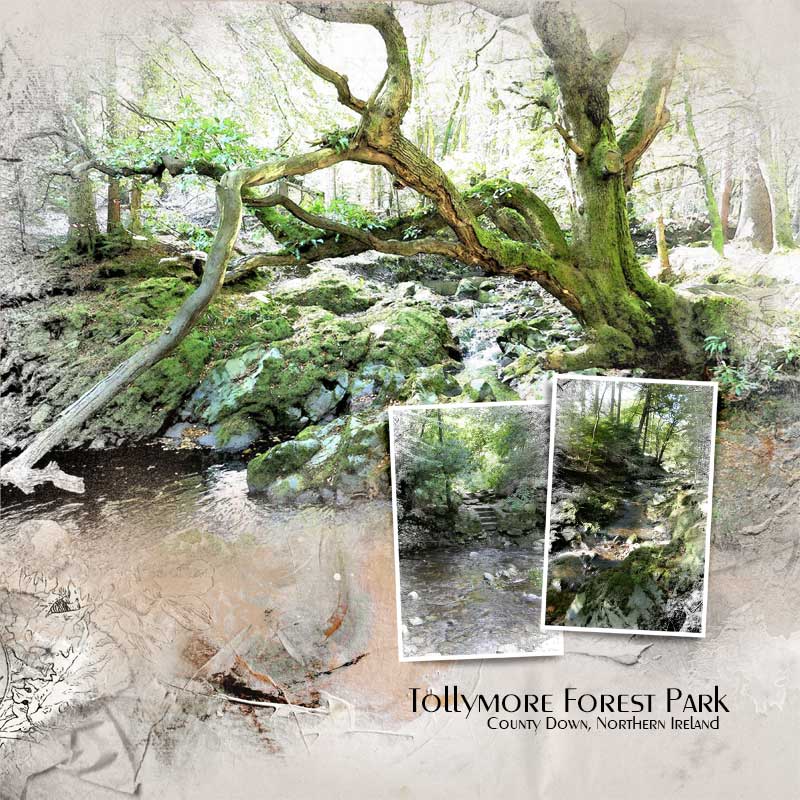 Tollymore Forest Park