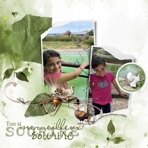 ton si merveilleux sourire