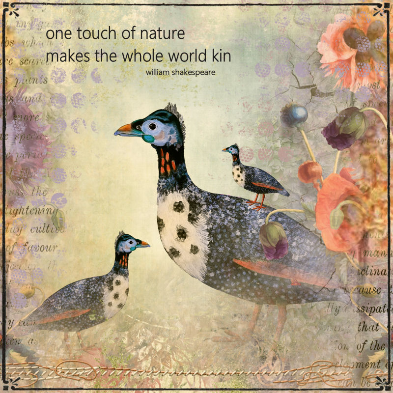 touch of nature
