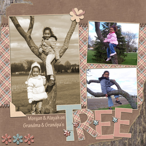 Tree Climbin' - JMc