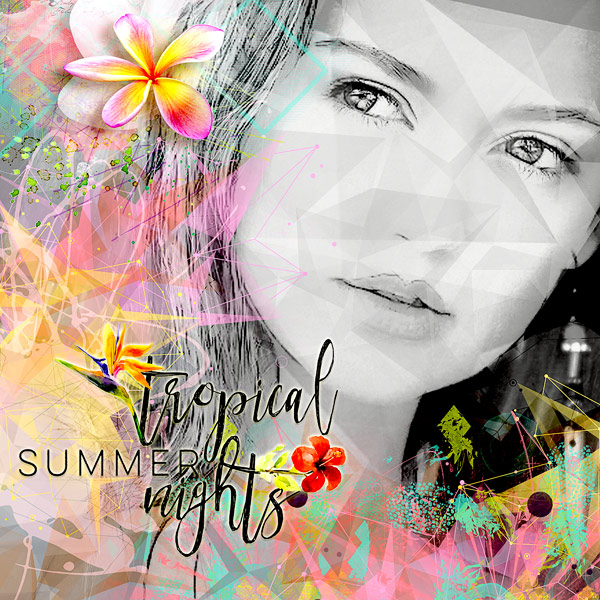 TROPICAL NIGHTS