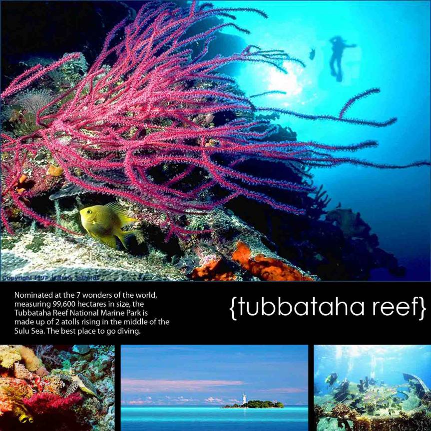 Tubbataha Reef, Puerto Princesa, Philippines