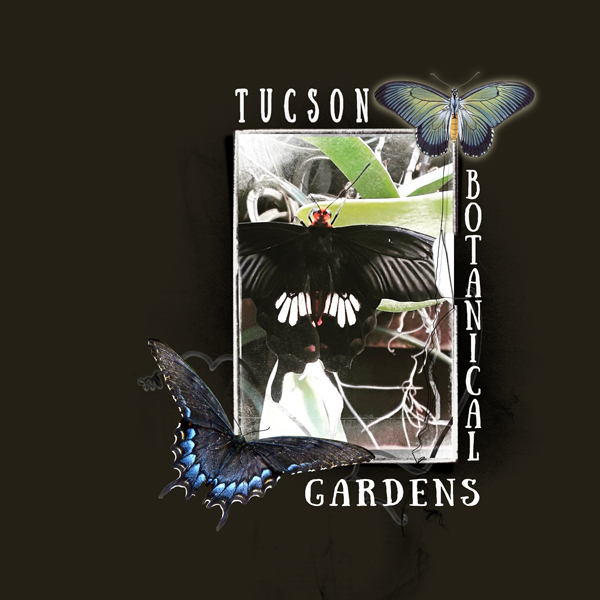 Tucson Botanical Gardens