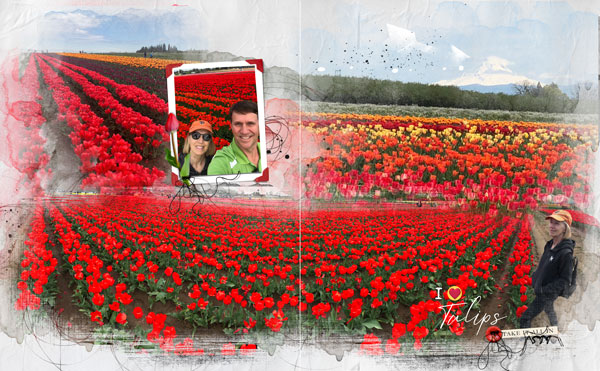 Tulip Farm 3