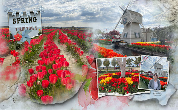 "Tulip Town"