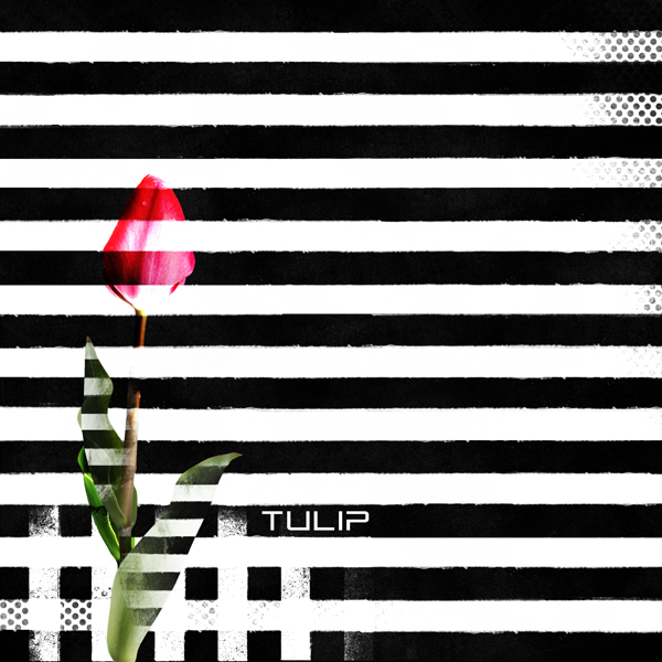Tulip...