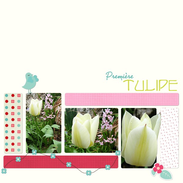 Tulipe