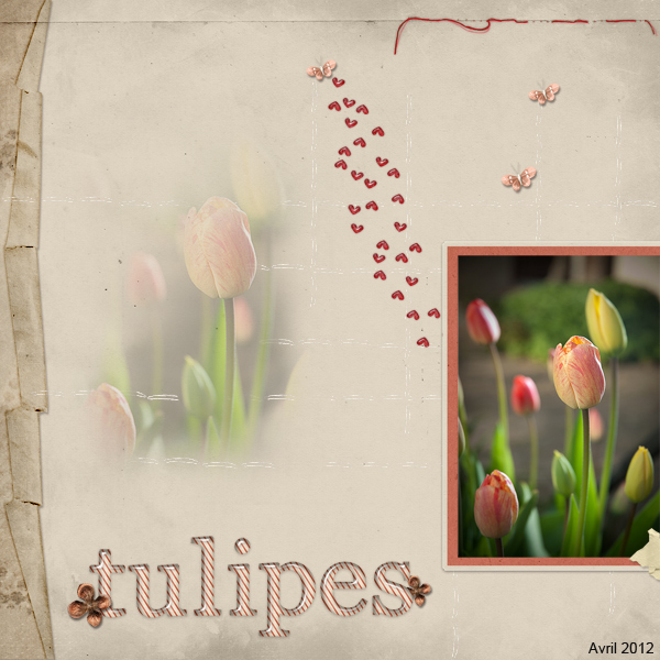 Tulipes