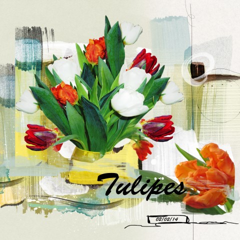 Tulips of this day. A desire for color in the length of the winter