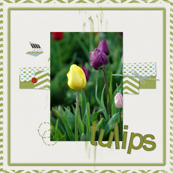 Tulips