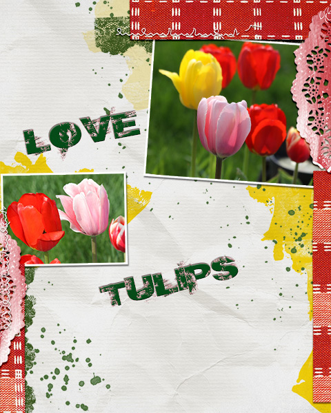 Tulips